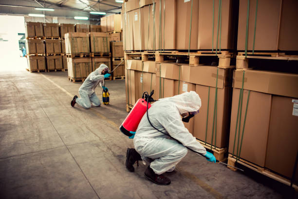 Best Pest Removal Services  in Glens Falls, NY