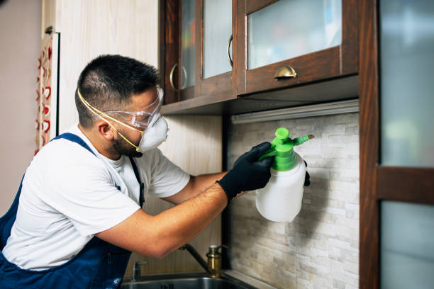 Best Exterminator Services  in Glens Falls, NY