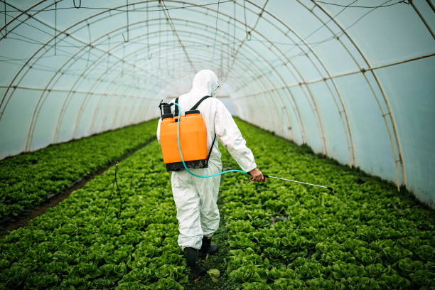 Pest Control for Restaurants in Glens Falls, NY