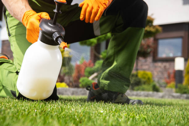 Pest Prevention Services in Glens Falls, NY
