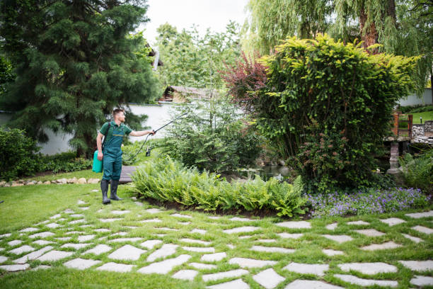 Best Pest Control Near Me  in Glens Falls, NY