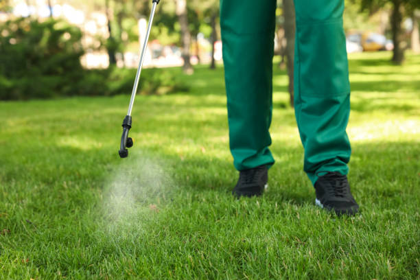 Reliable Glens Falls, NY Pest Control Solutions