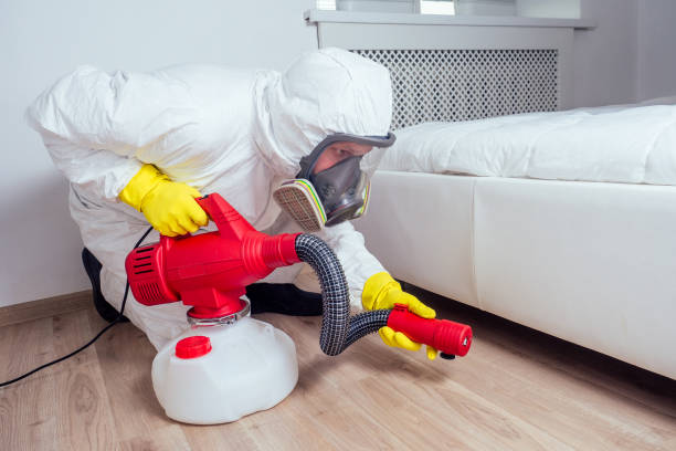 Best Exterminator Services  in Glens Falls, NY