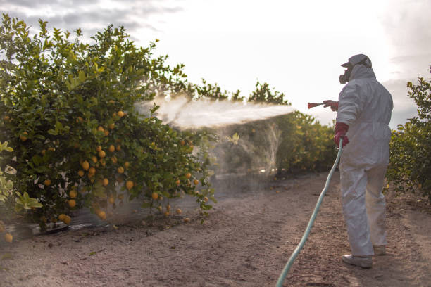 Best Pest Prevention Services  in Glens Falls, NY