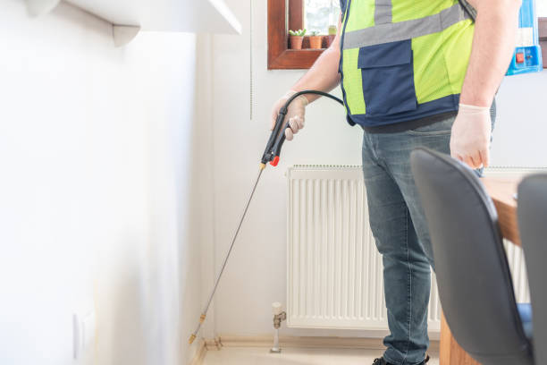 Best Pest Control Near Me  in Glens Falls, NY