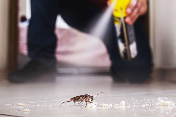 Wildlife Control Services in Glens Falls, NY