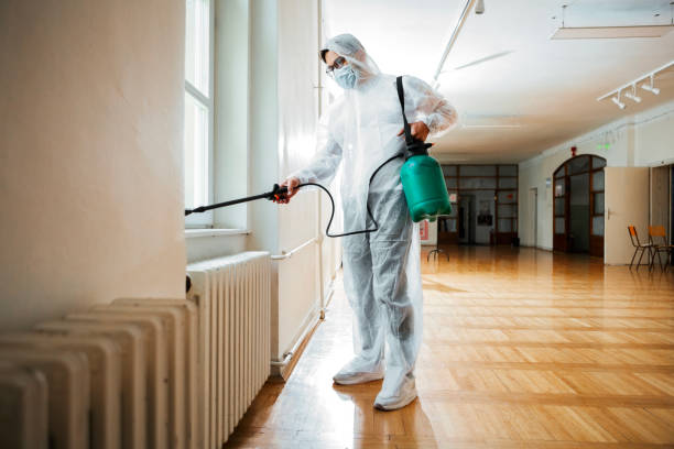 Best Affordable Pest Control Services  in Glens Falls, NY