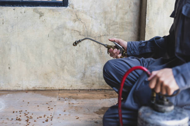 Pest Control Cost in Glens Falls, NY