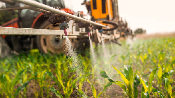 Pest Control Cost in Glens Falls, NY